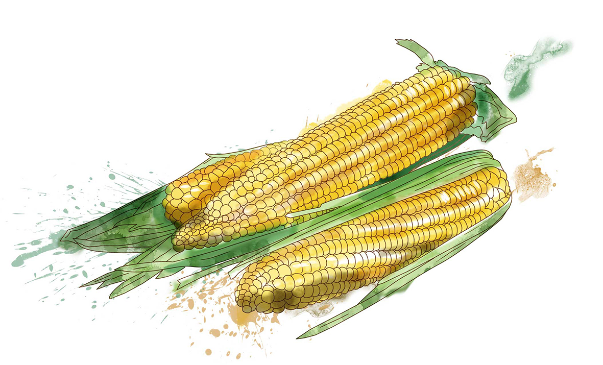 кукуруза-11_07