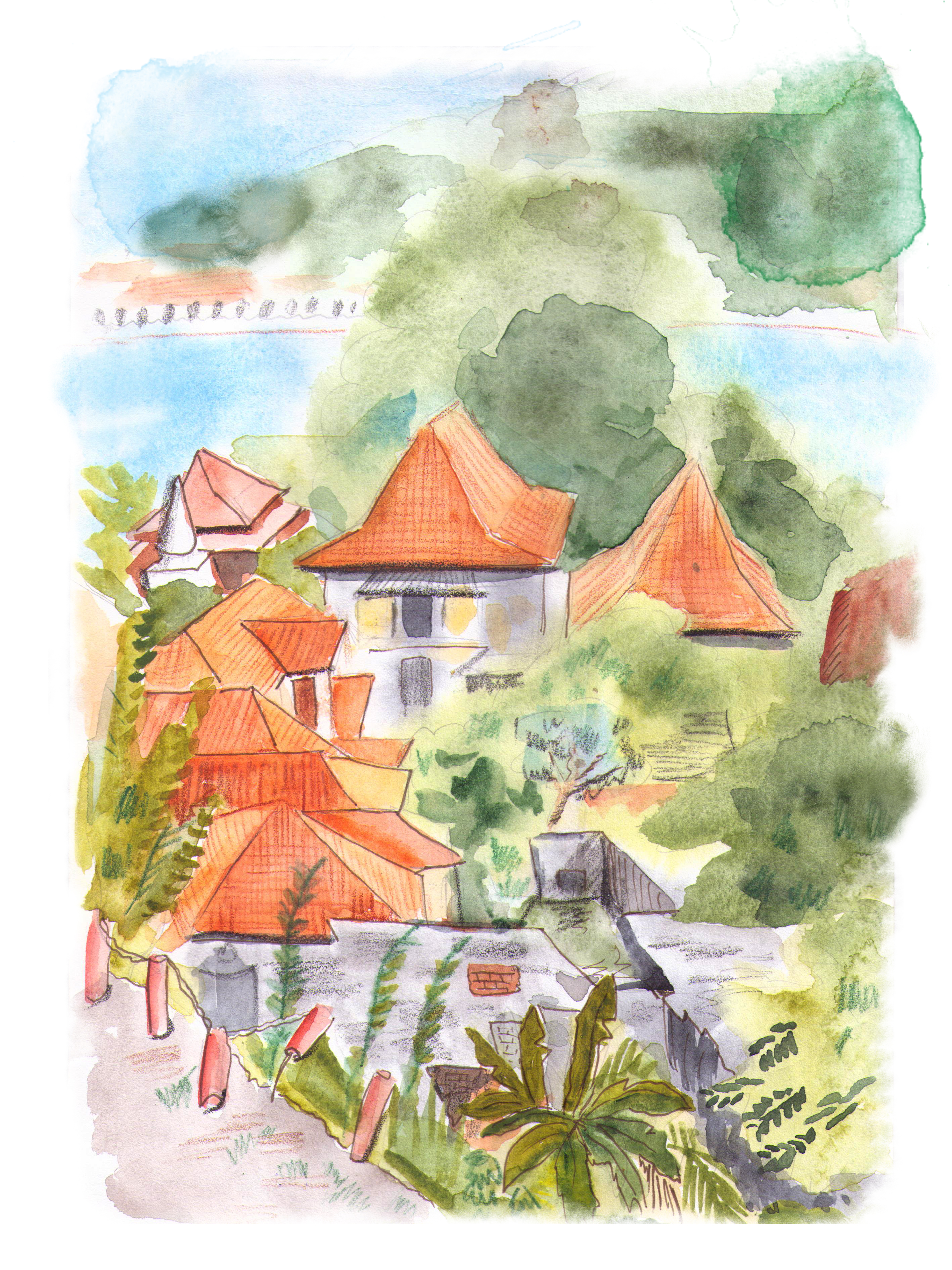 канди из окна1