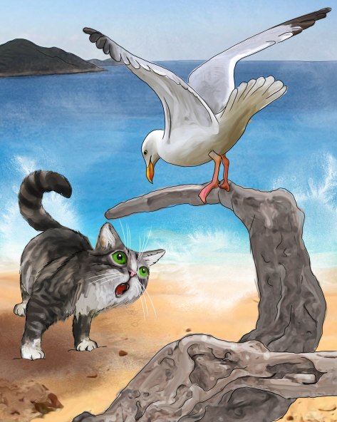 Cat explores the neighborhood