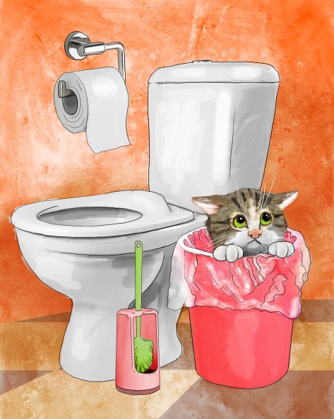 In the bathroom in the litter box